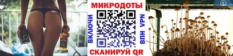 Псилоцибиновые грибы мицелий  Купить закладки  Лениногорск 